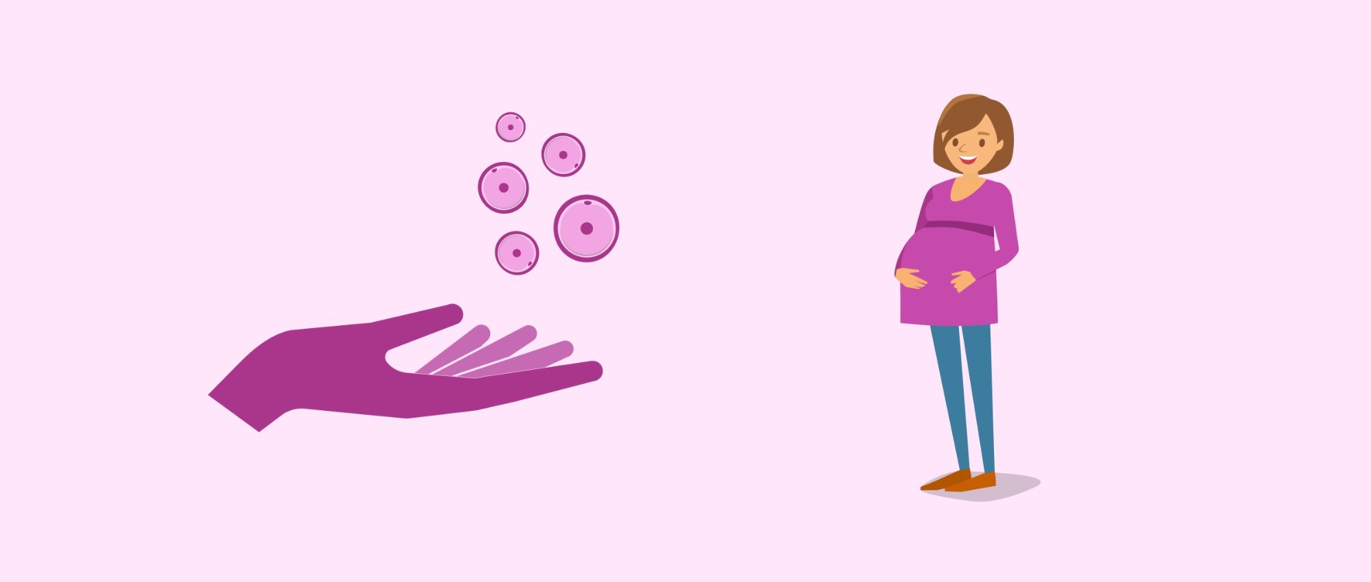 Ovum Donor Programme