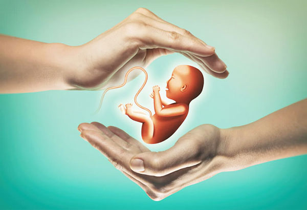 Embryo Donor Programme